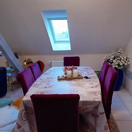 Appartement Spacieux A Ingersheim Avec Vue Sur Jardin 100 M² Luaran gambar