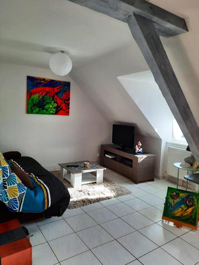 Appartement Spacieux A Ingersheim Avec Vue Sur Jardin 100 M² Luaran gambar