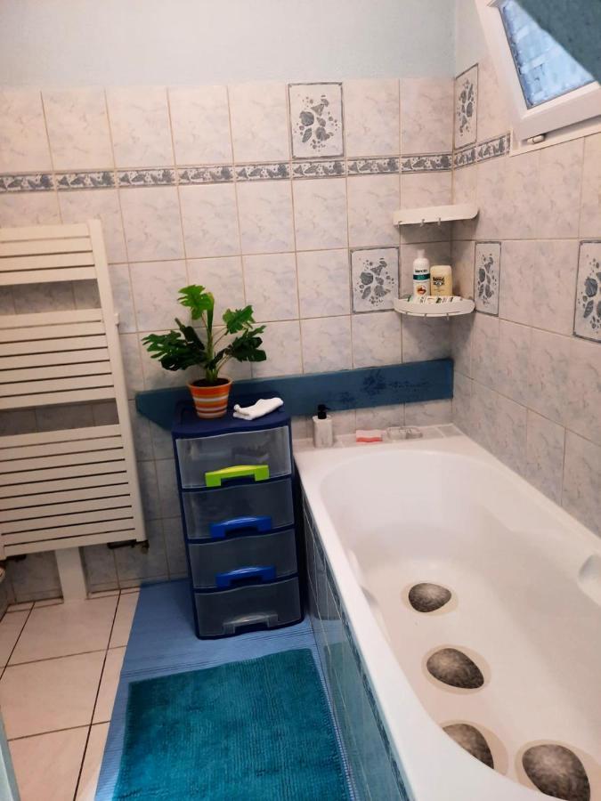 Appartement Spacieux A Ingersheim Avec Vue Sur Jardin 100 M² Luaran gambar